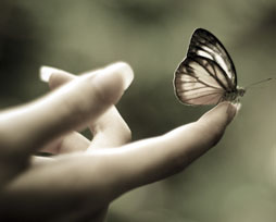 butterfly on fingeredite