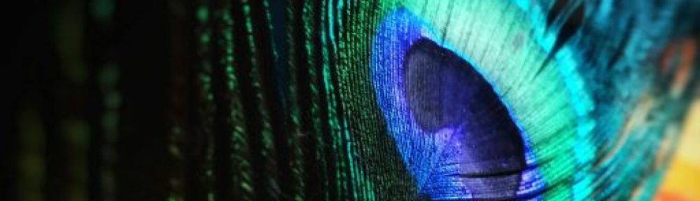 An Insomniac's Musings